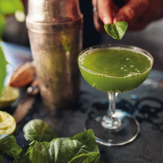 Basil Smash