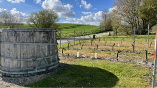 Dansk vinsmagning på Vesterbro – Lindely Vingård - 6 marts