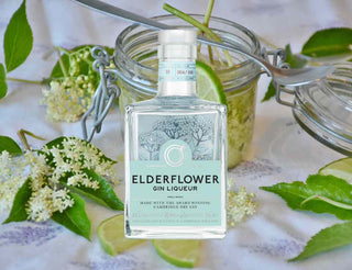 Cambridge Elderflower Gin Liqueur – hyldeblomst ginlikør 50 cl fra Cambridge Distillery