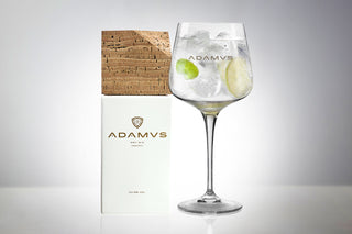 Adamus special Ginglas